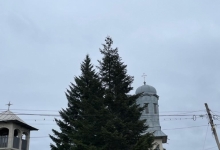 Transport Funerar Buzoesti Transport Funerar Buzoesti - AGENTIA FUNERARA DAMASC