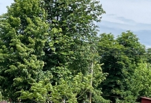 Transport Funerar Buzoesti Transport Funerar Buzoesti - AGENTIA FUNERARA DAMASC