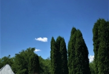 Transport Funerar Buzoesti Transport Funerar Buzoesti - AGENTIA FUNERARA DAMASC