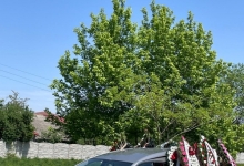 Transport Funerar Buzoesti Transport Funerar Buzoesti - AGENTIA FUNERARA DAMASC